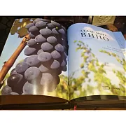 Ручная работа: Атлас мира вино в футляре — книга для мужчины — фотография 6